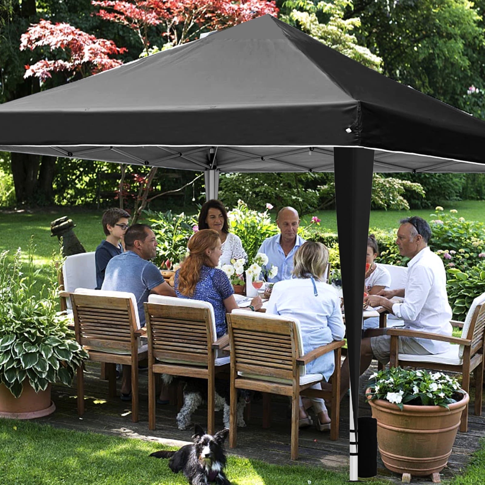 Fenbeli 10x10ft Pop Up Canopy Outdoor Durable Portable Folding Instant with 4 Sandbag & Carrying Bag/Adjustable Height Black