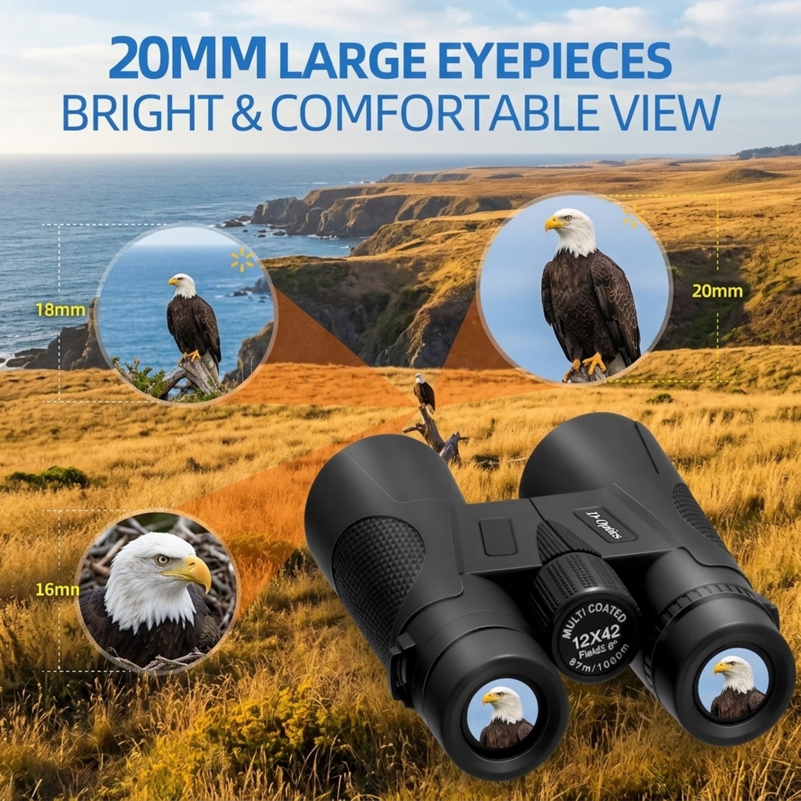 Fenbeli 12¡Á42 HD Roof Prism Binoculars with Phone Adapter and Tripod for Bird Watching and Hiking, Black