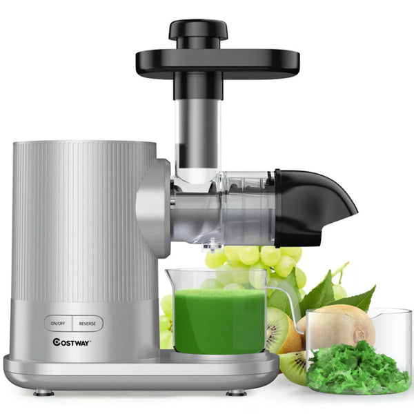 Horizontal Slow Masticating Extractor Juicer with Brush