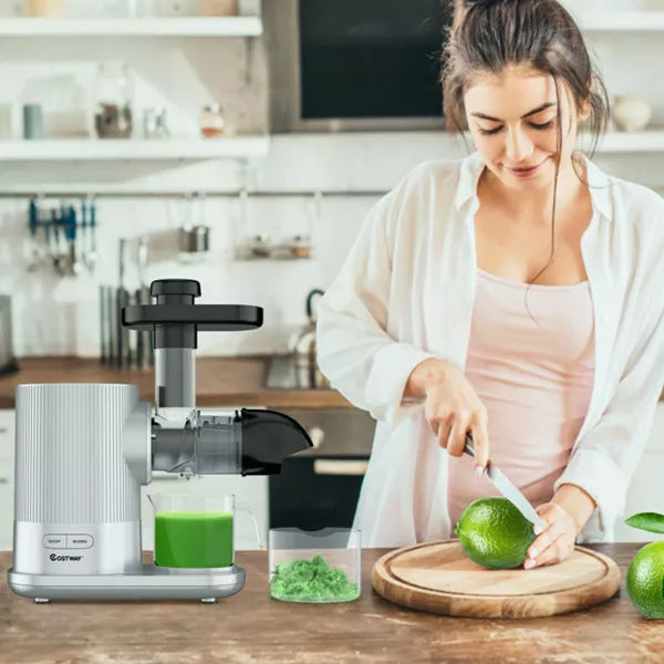 Horizontal Slow Masticating Extractor Juicer with Brush