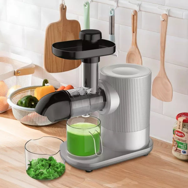 Horizontal Slow Masticating Extractor Juicer with Brush