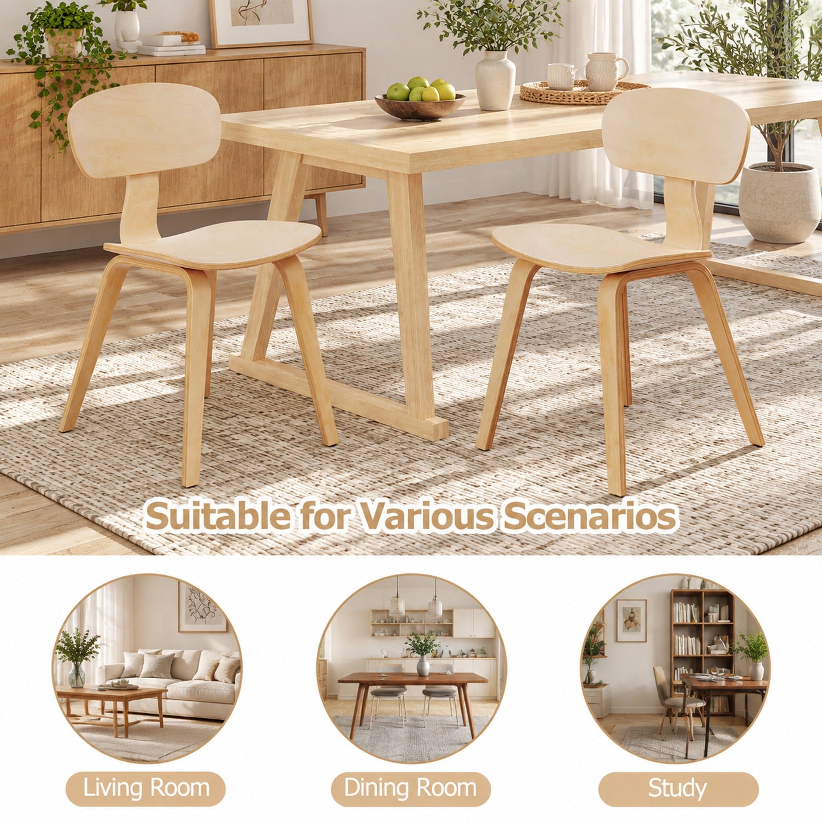 Fenbeli Modern Dining Chair Set of 2 with Wide Seat, Chair 330 lbs Capacity, Bentwood Rubber Wood Frame, 17 x 20.5 x 31.5 Footprint, Natural